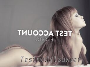 Testmodelsawyer