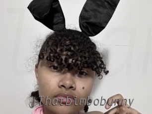 Thatbimbobunny