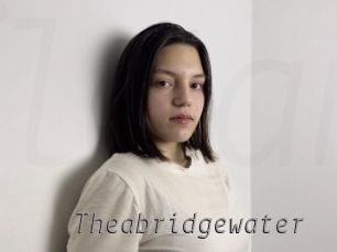 theabridgewater Livestrip Cams