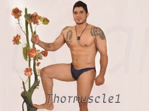 Thormuscle1