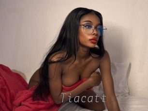 tiacatt Livestrip Cams