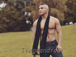 tiagoandrade Livestrip Cams