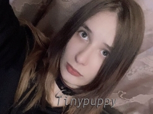 Tinypuppy