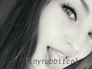 Tinyrabbitcol