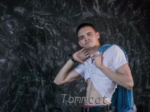 Tommcat