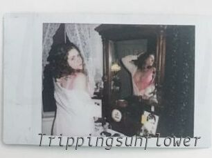 Trippingsunflower