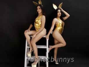 Twohotbunnys