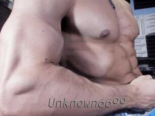 Unknown6699
