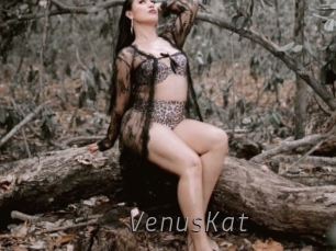 VenusKat