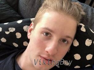 VikingBoy