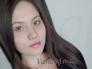 vanesin Livestrip Cams