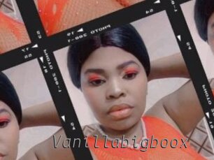 vanillabigboox Livestrip Cams