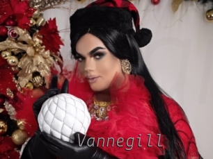 vannegill Livestrip Cams