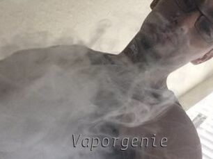 Vapor_genie