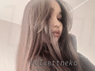 Velvettneko
