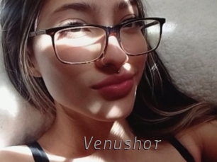 venushor Livestrip Cams
