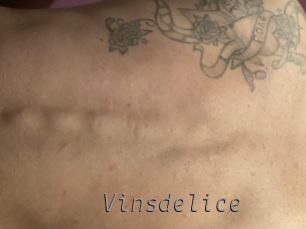 vinsdelice Livestrip Cams