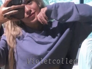 Violetcollen
