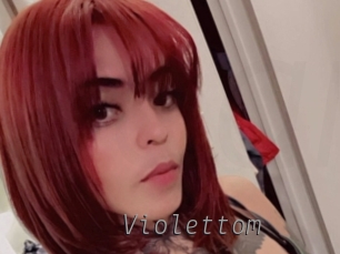 violettom Livestrip Cams