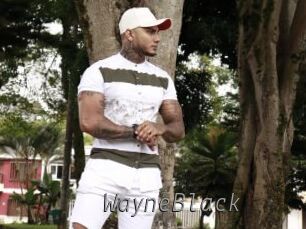 WayneBlack Livestrip Cams