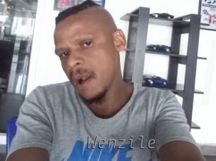 Wenzile Livestrip Cams