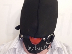 WyldePet Livestrip Cams