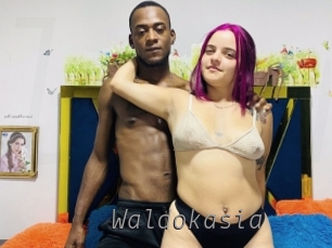 Waldokasia