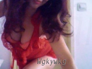 wgkywkg Livestrip Cams