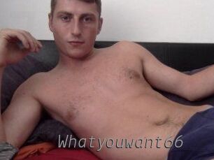 Whatyouwant66