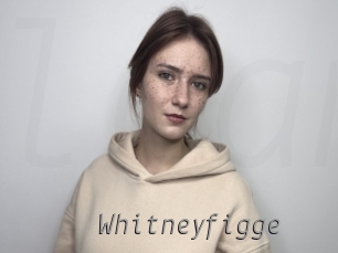 Whitneyfigge