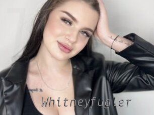 Whitneyfugler