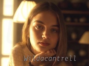 wildacantrell Livestrip Cams
