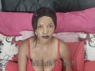 wildkitten Livestrip Cams