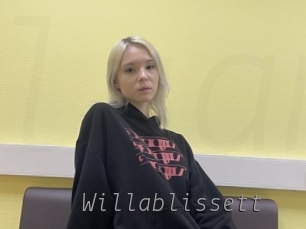 willablissett Livestrip Cams