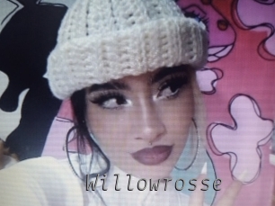 willowrosse Livestrip Cams