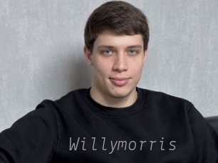 willymorris Livestrip Cams