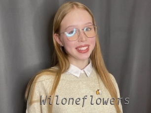 wiloneflowers Livestrip Cams