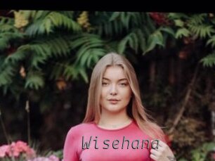 wisehana Livestrip Cams