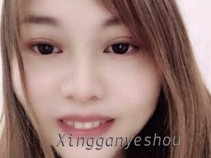 Xingganyeshou
