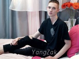 YangZak