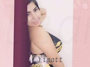 Yinatt Livestrip Cams