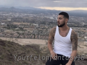 Yourfelonfantasy18