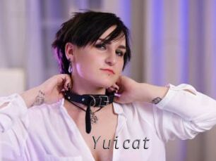 yuicat Livestrip Cams