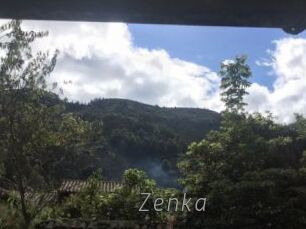 Zenka
