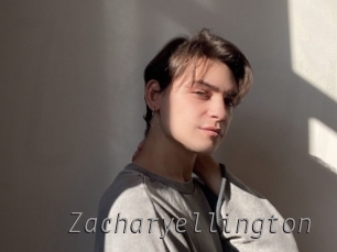 zacharyellington Livestrip Cams