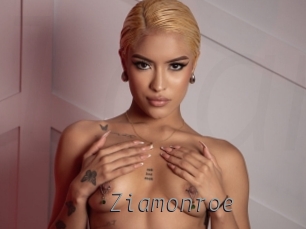 ziamonroe Livestrip Cams