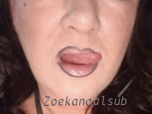 Zoekanaalsub